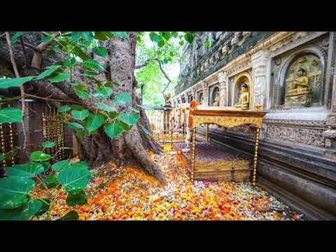 The Long Discourses: Sutta 5 - Kutadanta Sutta: Kutadanta & The Bloodless Sacrifice