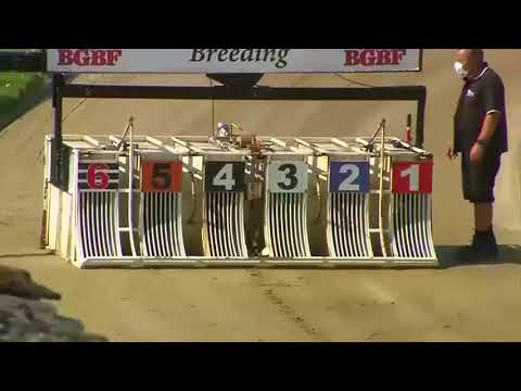 Lights Out - The 74th Two Year Old BGBF Produce Stakes Semi Final 3