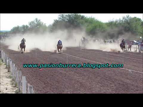 Andaluz, Pista Pangare - Cruz del Eje (17-12-17)