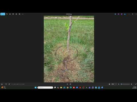 Meeting thumbnail