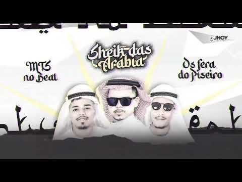 TIPO SHEIK DAS ARÁBIA- MTS NO BEAT E FERAS DO PISEIRO (ÁUDIO OFICIAL)