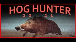 Hog Hunter 2021 | Hunting Hog Ass Out Of Existence