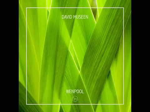 David Museen - Wenpool (Original Mix)