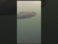 Video Thumbnail for Rainbow Trout Hook Up (underwater footage)