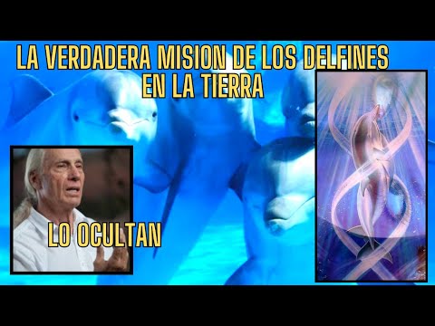 MAESTRO ESPIRITUAL REVELA CUAL ES EL PODER REAL DE LOS DELFINES Y SU MISION EN LA TIERRA