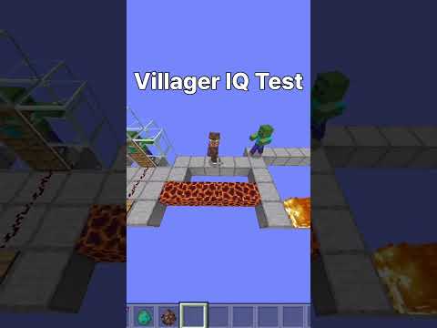 Mind-Boggling Villager IQ Test 👀