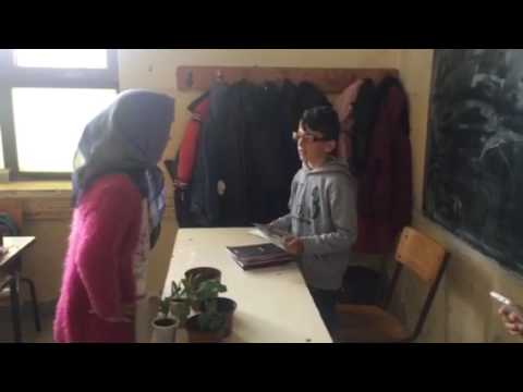 Kush e ka prishur librin?