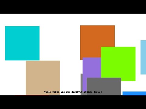 Video #sftp-gcs-pkg-20220828-000029-472674