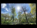 Forever Loving Jah (1980) - Roots Reggae Riddim Mix