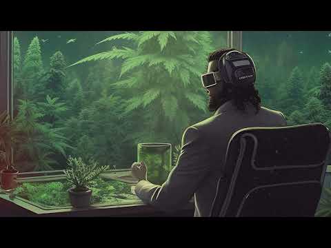 The Shooters, Quinten Circle - The Next Episode