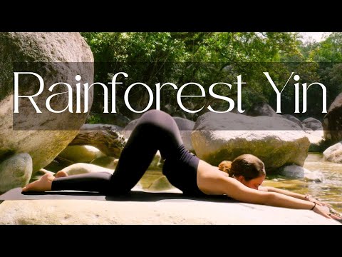 30 Min Yin Yoga to Release Back Pain & Rebalance the Nervous System | Rainforest Edition 🌿