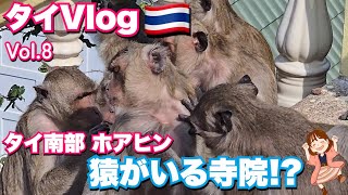 ホアヒン旅行 猿と王様の像に出会った!
