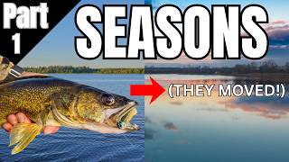 Find Walleyes ANY Time of Year By Understanding This ONE Movement Pattern!