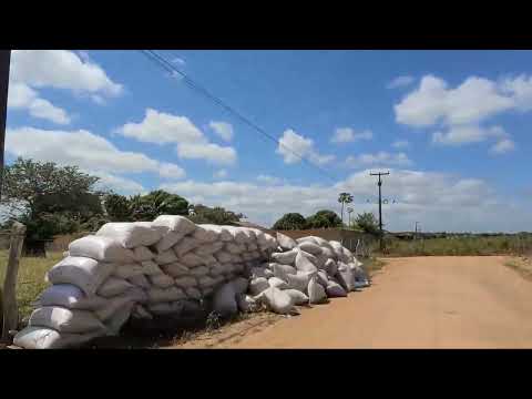 Entrega de frango no sítio tapera Feira Grande Alagoas 
