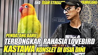 Download lagu LOVEBIRD KONSLET #1 : TERBONGKAR RAHASIA PENDATANG BARU LOVEBIRD KASTAWA KONSLET DI USIA DINI mp3