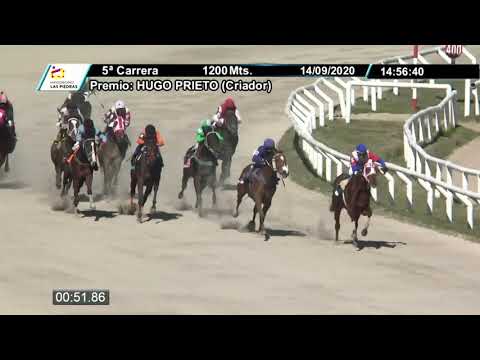 14/09/2020 – Hipodromo Las Piedras – Carr 5 – HUGO PRIETO (Criador)