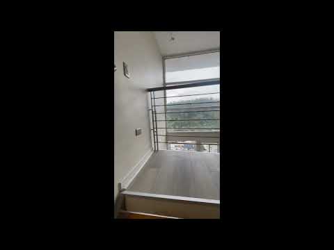 video image