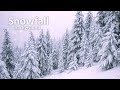 Snowfall In The Woods Winter Video Background 2025