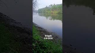 Download lagu kali bregoh iwak yen isuk cebok e gedi² bolo, tp ora gelm mngn 😁🤣🤣 mp3