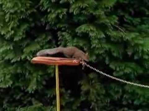 Carling Black Label (1989)