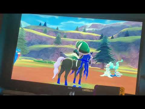 Calyrex and Spectrier React Cute In Pokémon Camp