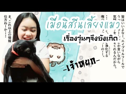 Vlog | เมื่อนิสรีนเลี้ยงแมวครั้งแรก!!เรื่องวุ่นๆจึงบังเกิด