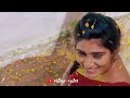 Naan Thedum Sevvanthi Poovithu Tamil Classic Love WhatsApp Status From Village Egiles YT ️
