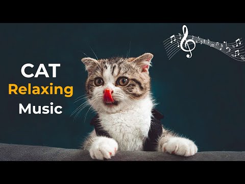 The Sound That Calms Cats Within Minutes || Cat Meditation