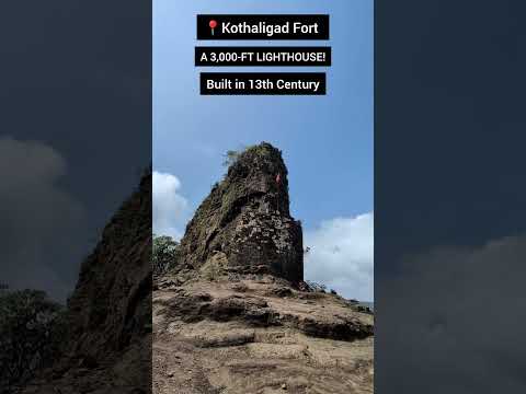 The Craziest Fort in Maharashtra: Kothaligad! #maharashtra #maratha