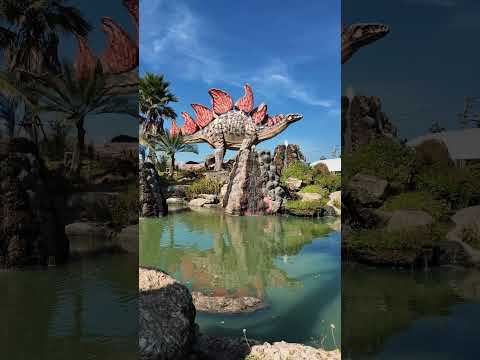 Kosem Cafe Promo Video