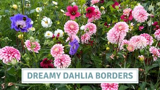 Planting Dahlias & Annuals from Seed | How to Plan a Colourful Border // Cottoverdi