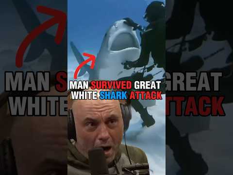 His Friend Survived a Great White Shark Attack 🦈