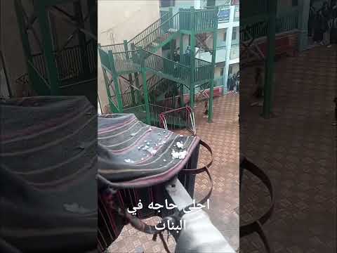 احلى حاجه في البنات