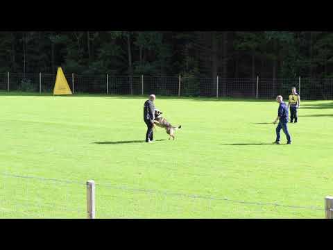 Pål Helgesen & Snifer`s Zhot Gruppe C IPO 2