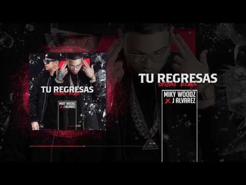 MIKY WOODZ FT. J ALVAREZ - Tu Regresas (audio)
