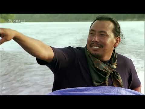 Tief im Regenwald: Im Bann des Kaimans - Doku - Deutsch