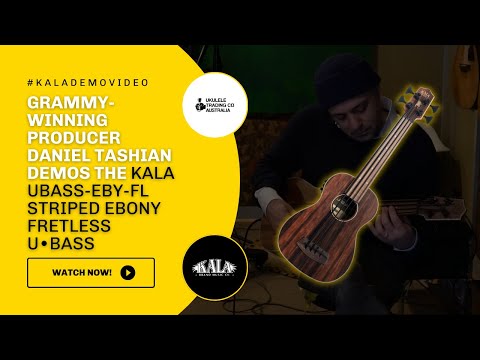 Kala U-Bass Fretless Striped Ebony with Bag image 7