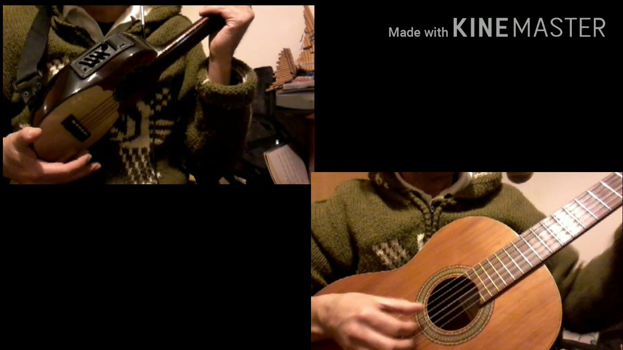 Charango Semiprofesional Pedro Quispe Torrez