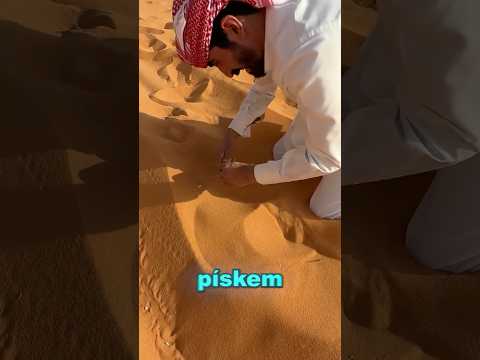 V poušti našel tvora, který plaval pod pískem🤯🦎