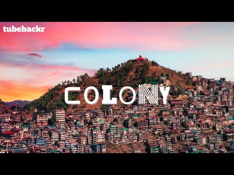 tubebackr - Colony