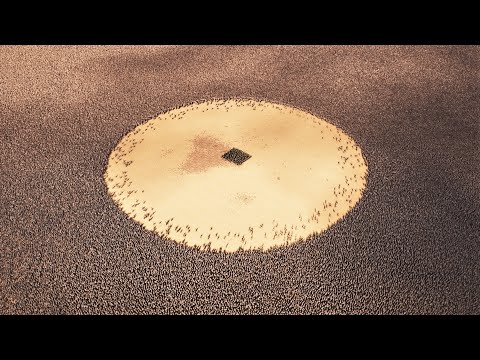 50 SUPER ARCHERS TRAPPED BY 1 MILLION ROMANS - Ultimate Epic Battle Simulator 2