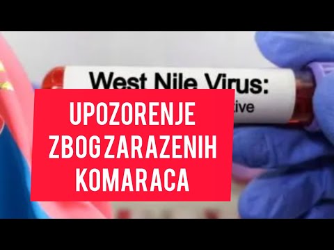 Upozorenje zbog ZARAZENIH KOMARACA! Srbiji stiglo upozorenje! Najezda