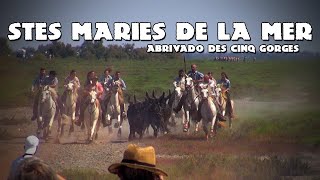 STES MARIES DE LA MER Abrivado Des Cinq Gorges 15-06-2023 🌞