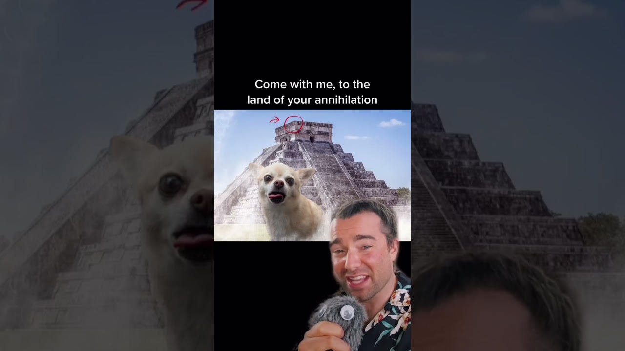 misunderstood dog breeds CHIHUAHUA #misunderstood #dogbreeds #chihuahua #history #series #learning