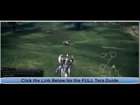 TERA Guide - Full TERA Leveling Guide