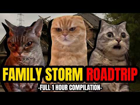 CAT MEMES: FAMILY STORM ROADTRIP FULL 1 HOUR COMPILATION