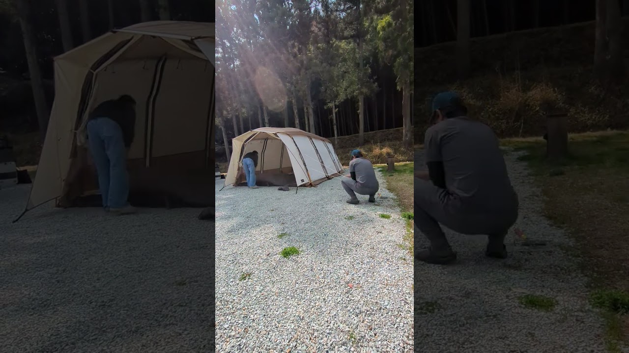 【これ、設営したら帰りたくなくなるやつ】人気キャンプ場でogawa アポロンTC設営！#キャンプ #テント設営 #アポロン #アポロンtc