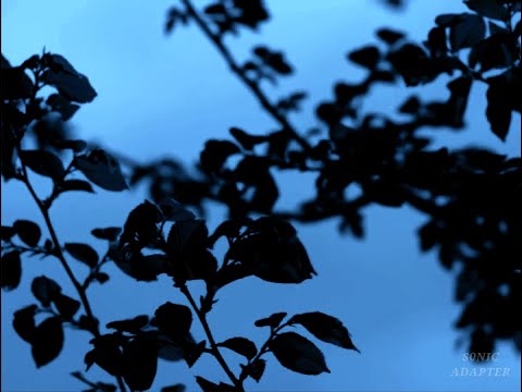 At The Gates  - Der Widerstand (Re-edit & Music Video by SonicAdapter)