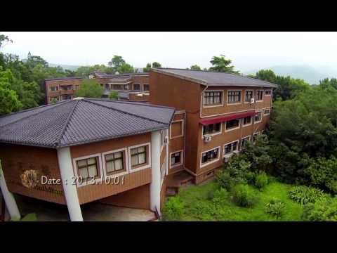 大地的孩子-小石虎返家之路(客語版)