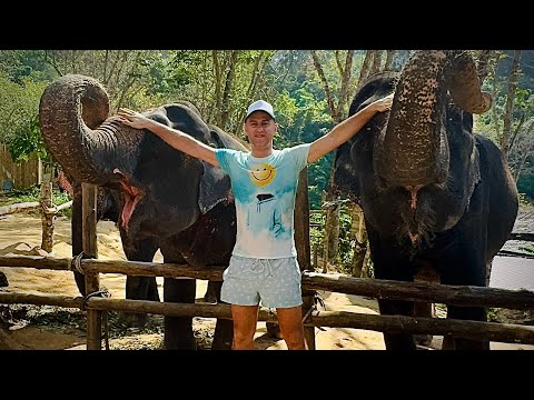 Xoni Records and DJINOXTV